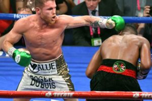 canelo fight