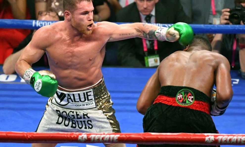 canelo fight