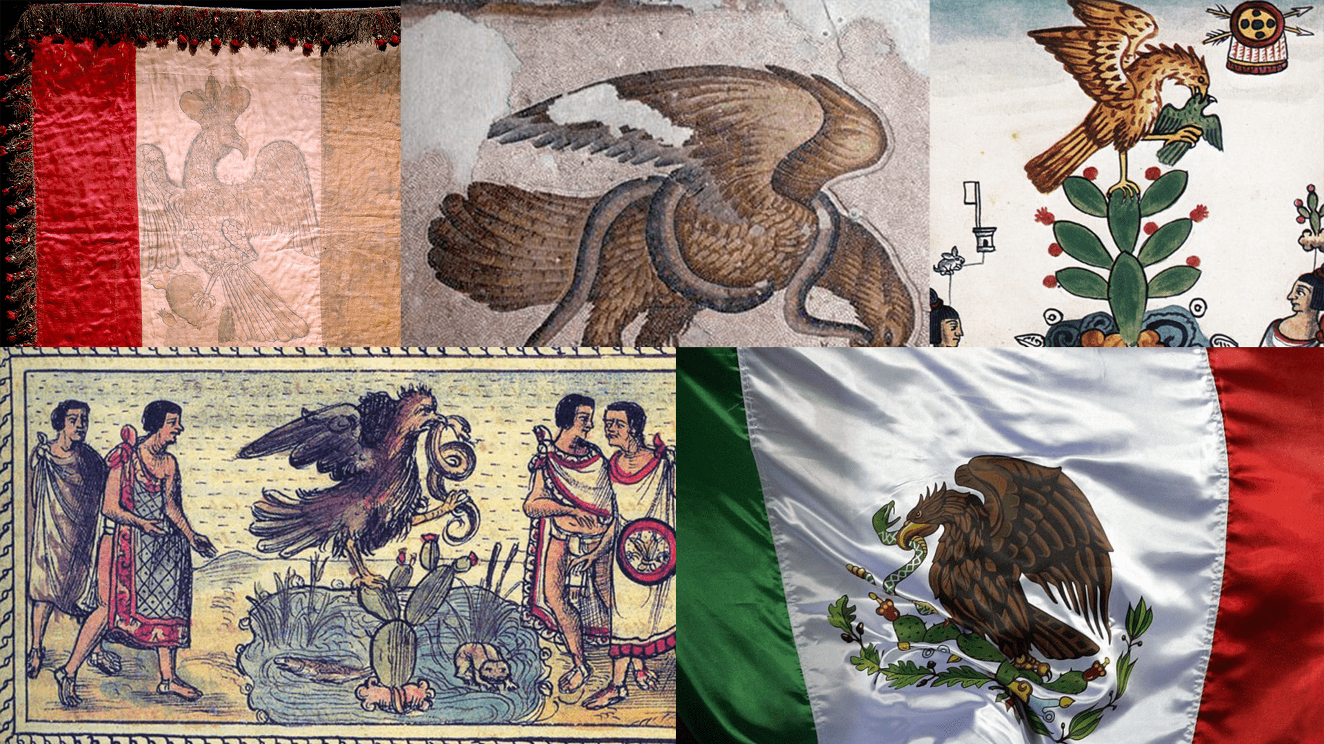 Mexican Flag The History And Symbolism 46 OFF